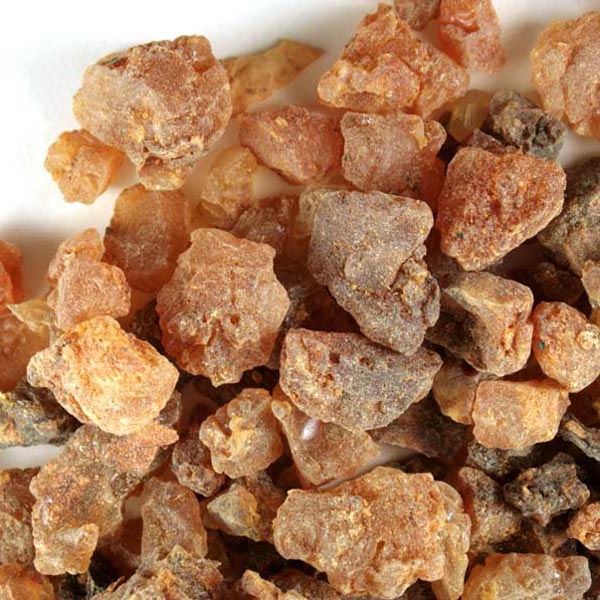 Myrrh Gum Resin (Pea Size) - Somalia - Scents of Earth