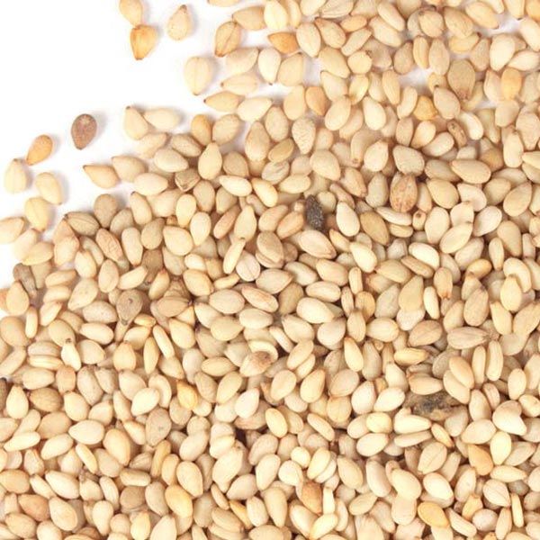 Buy Bulk Sesame Seed Natural, Organic Monterey Bay Herb Co