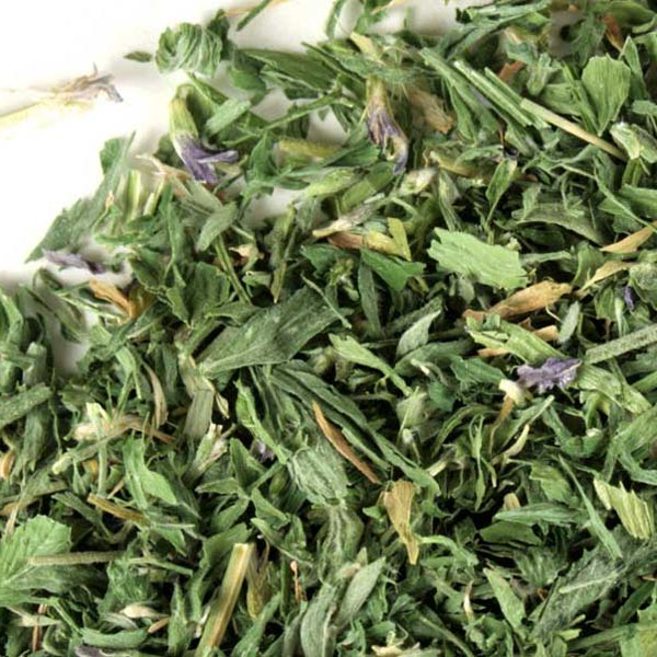 Alfalfa leaf, c/s