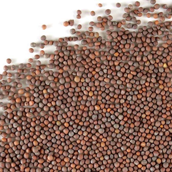 Mustard seed, brown, whole
