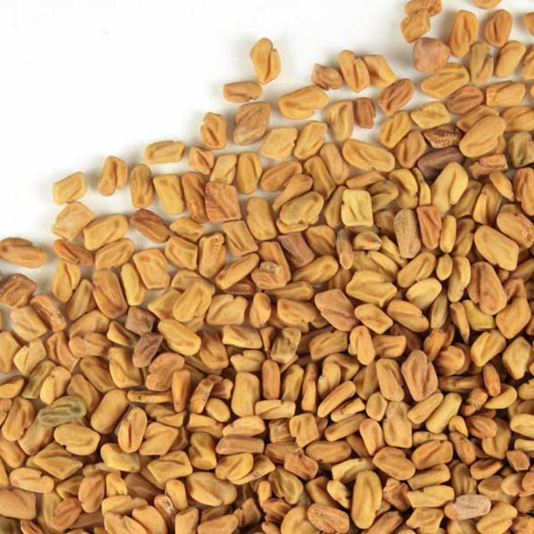 Fenugreek seed, whole Organic