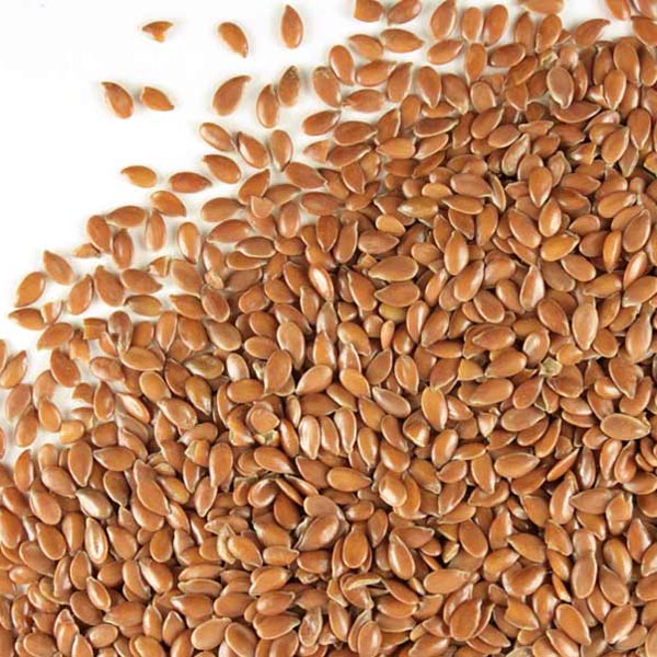 Flax seed, whole Organic