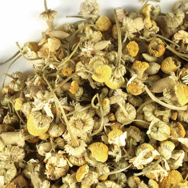 Chamomile (Egyptian), whole
