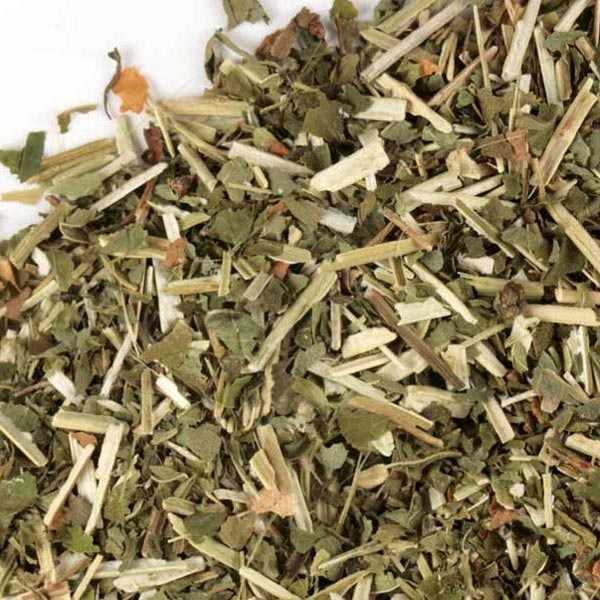 Figwort herb, c/s, wild crafted