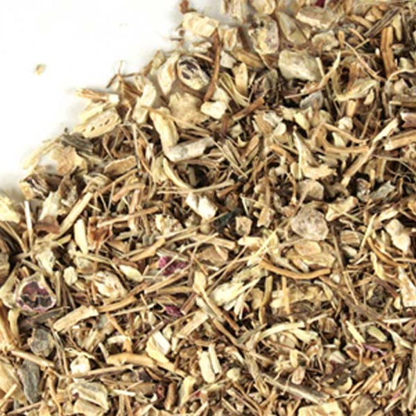 Echinacea purpurea root, c/s