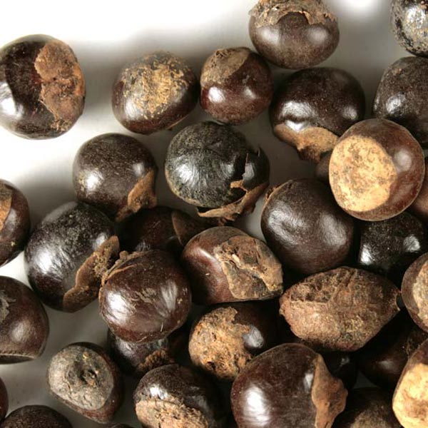 Guarana seed, whole