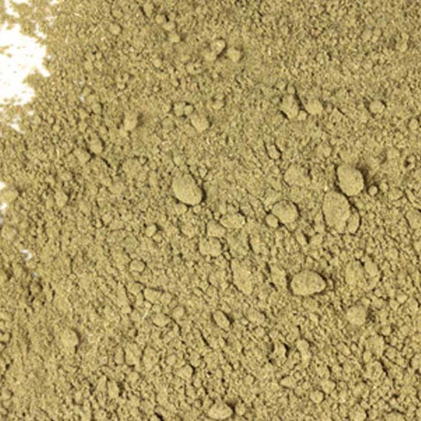 Witch hazel leaf, powder
