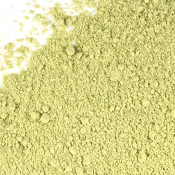 Wheat grass, powder