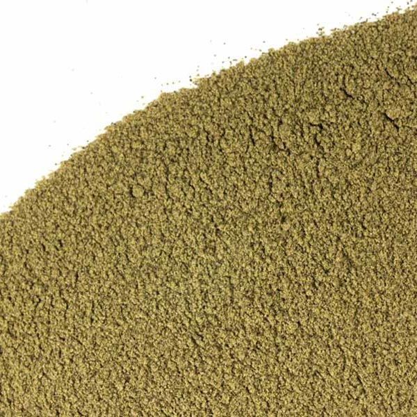 Bladderwrack, powder