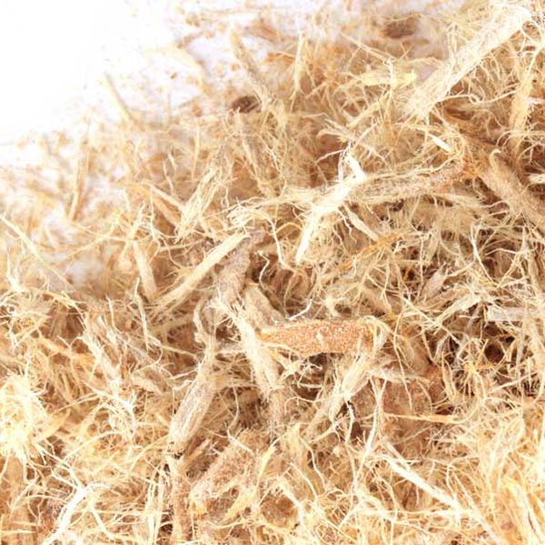 Slippery elm bark, c/s