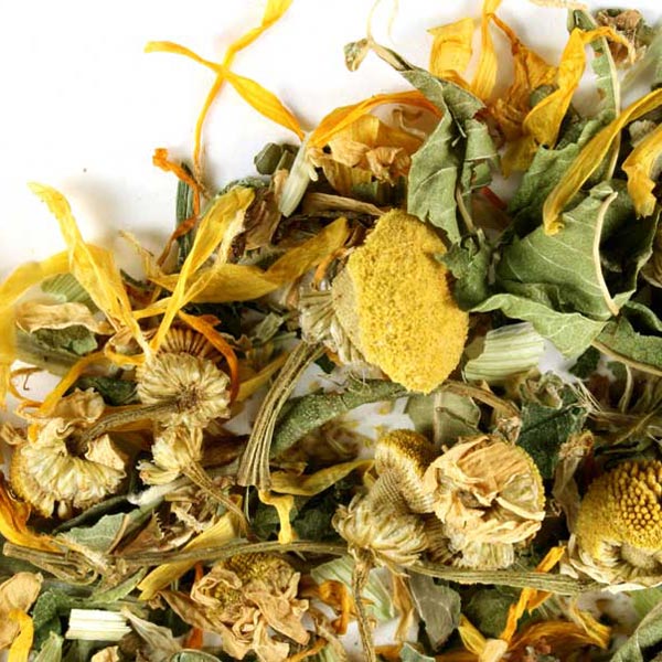 Avena Dream Tea