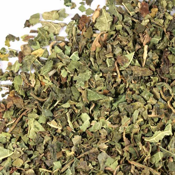 Papaya leaf, c/s