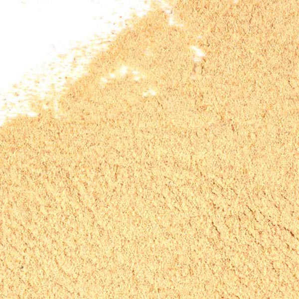 Galangal root, powder