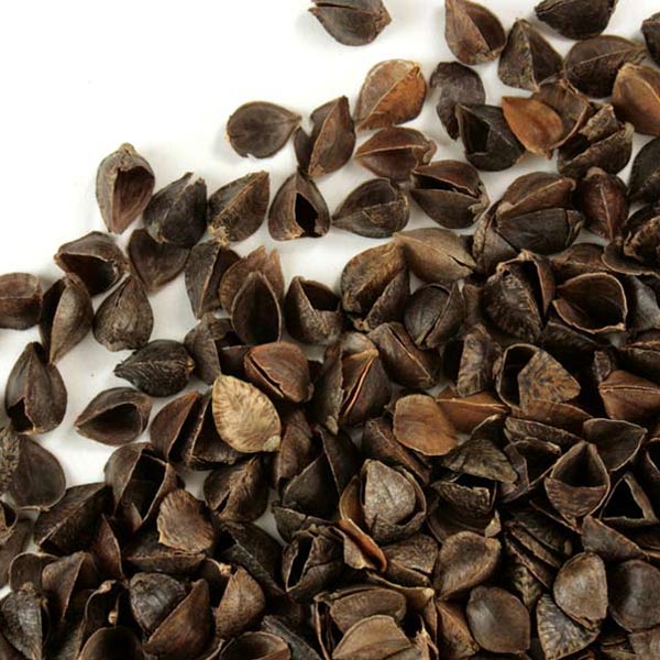 Buckwheat Hulls