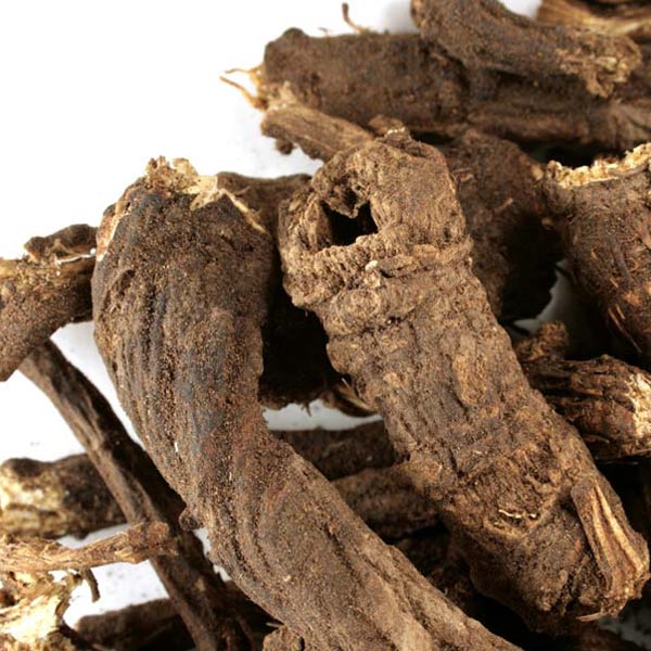 Osha root, whole, wild crafted