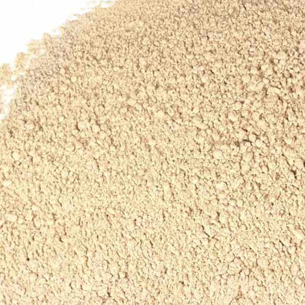 Irish moss, powder, wild crafted