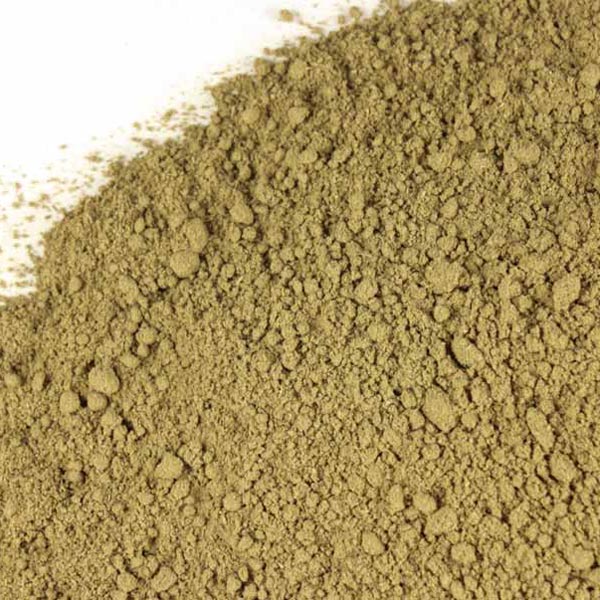 Horsetail (Shavegrass), powder, wild crafted