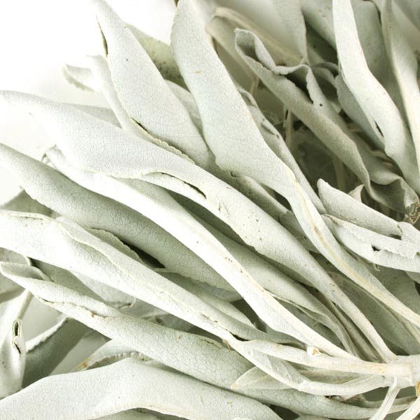 Sage white, whole, wild crafted