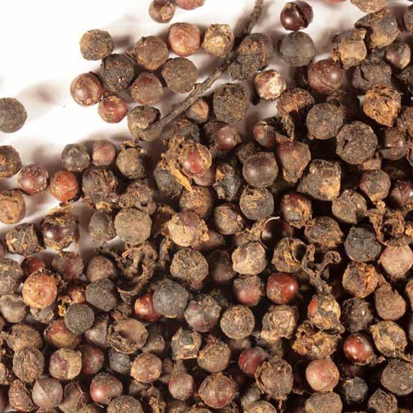 Cubeb berry, whole