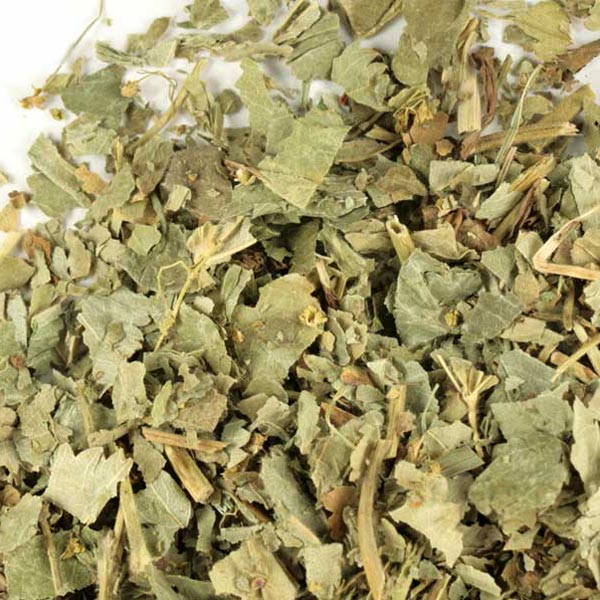 Lady's mantle herb, c/s, wild crafted