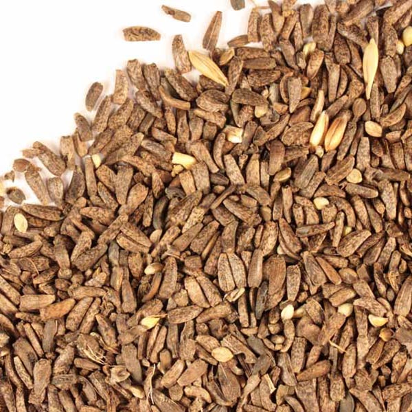 Burdock seed, whole, wild crafted