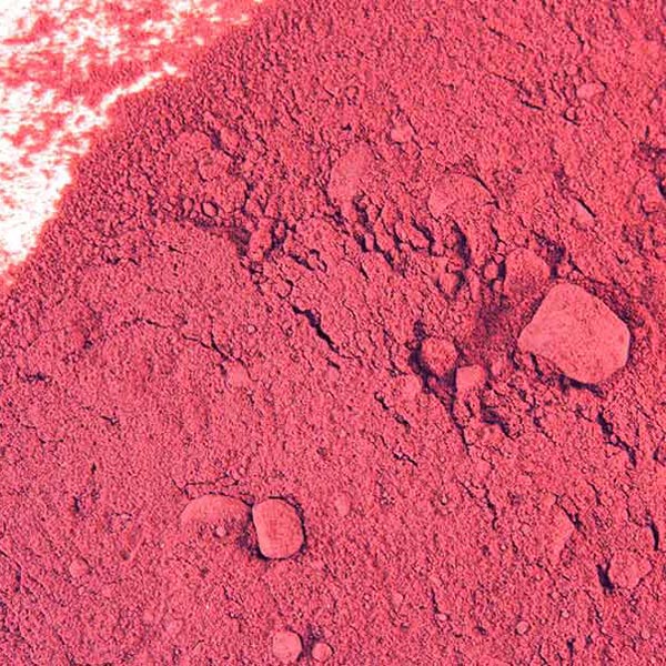 Beet root, powder