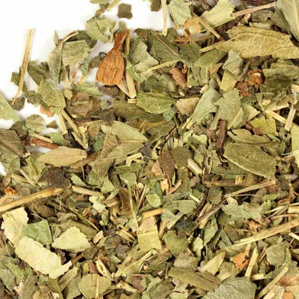 Periwinkle herb, c/s