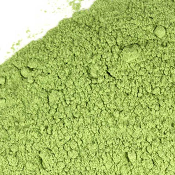 Alfalfa leaf, powder Organic