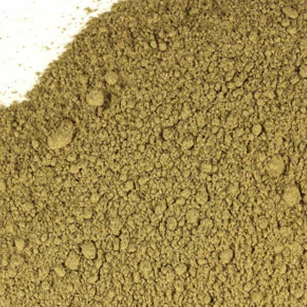 Basil, powder