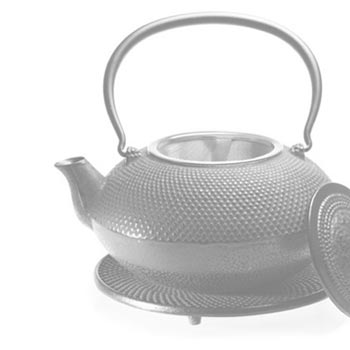 Cast Iron Teapot