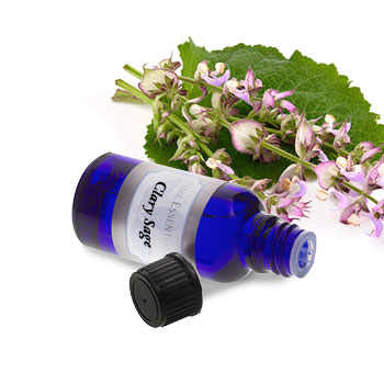 Clary Sage
