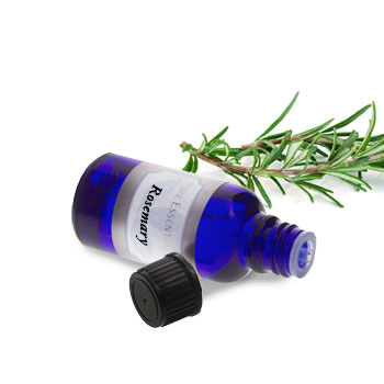 Rosemary (Spanish)