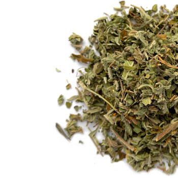 Damiana leaf