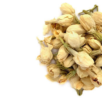 Jasmine Flower