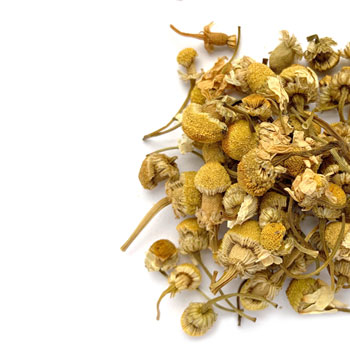 Chamomile (Egyptian)