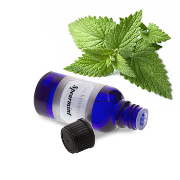Spearmint