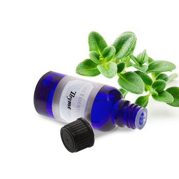 Thyme