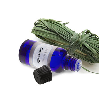 Citronella