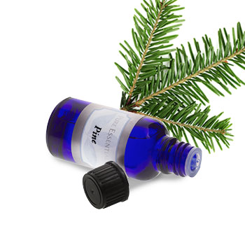 Pine