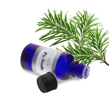 Fir needle (Siberian)