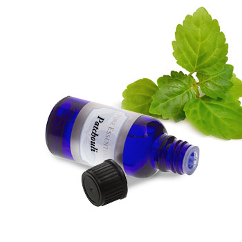 Patchouli