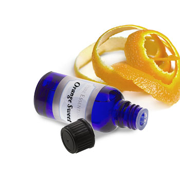 Orange Sweet (Sweet Orange)