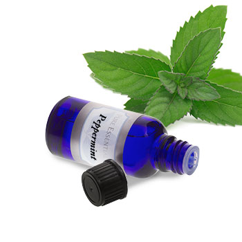 Peppermint