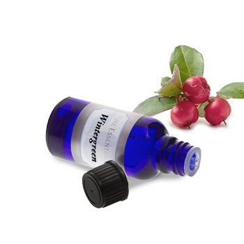 Wintergreen (Chinese)