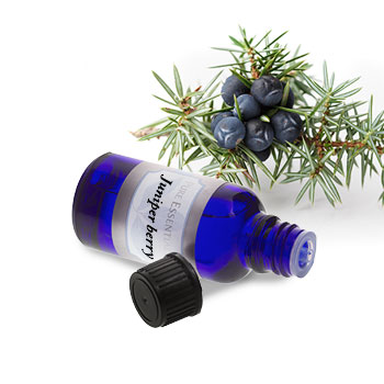 Juniper Berry (Italian)