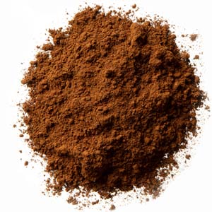 Chaga mushroom, powder