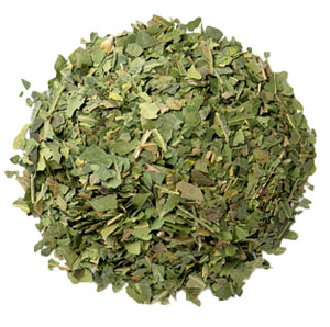 Neem leaf, c/s