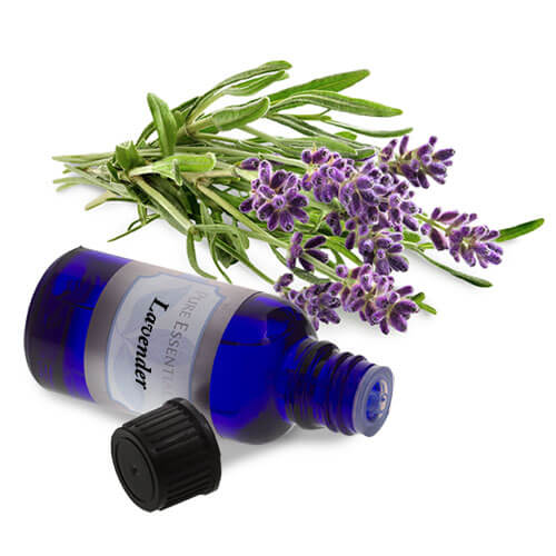 Lavender, essential oil