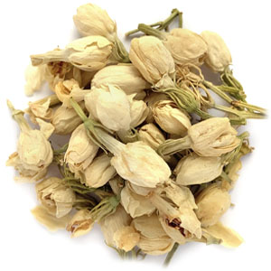 Jasmine flower, whole