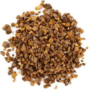 Turkey rhubarb root, c/s